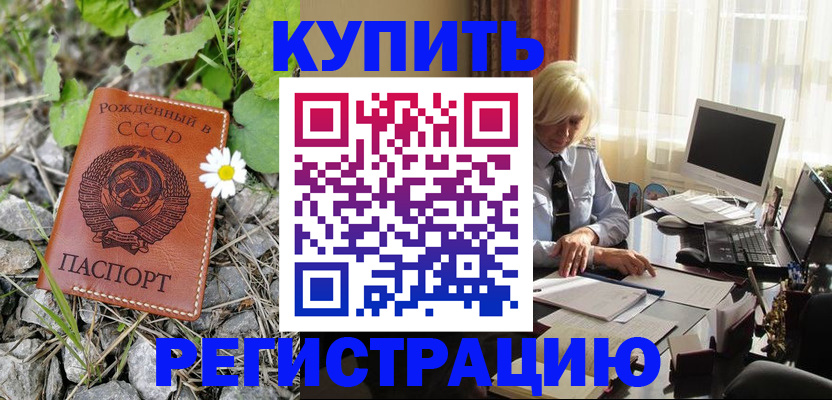временная регистрация недорого в Жердевке